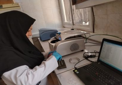 انجام آزمون های مولکولی و سرمی بر روی ۱۹هزار و ۵۰۰ نمونه طیور در طرح ملی پایش آنفلوانزای فوقحاد پرندگان در آزمایشگاه مرکزی و مرجع دامپزشکی خراسان رضوی