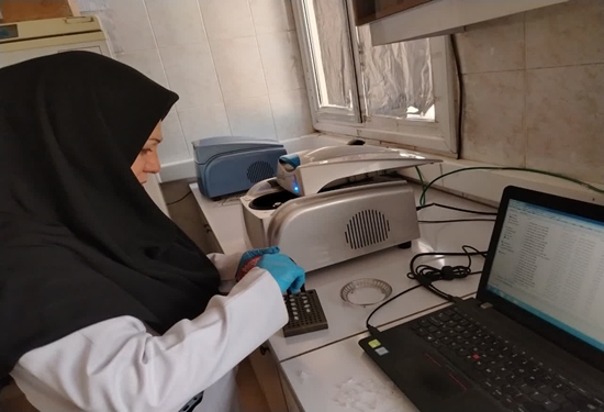 انجام آزمون های مولکولی و سرمی بر روی ۱9هزار و 500 نمونه طیور در طرح ملی پایش آنفلوانزای فوقحاد پرندگان در آزمایشگاه مرکزی و مرجع دامپزشکی خراسان رضوی انجام آزمون های مولکولی و سرمی بر روی ۱۹هزار و ۵۰۰ نمونه طیور در طرح ملی پایش آنفلوانزای فوقحاد پرندگان در آزمایشگاه مرکزی و مرجع دامپزشکی خراسان رضوی