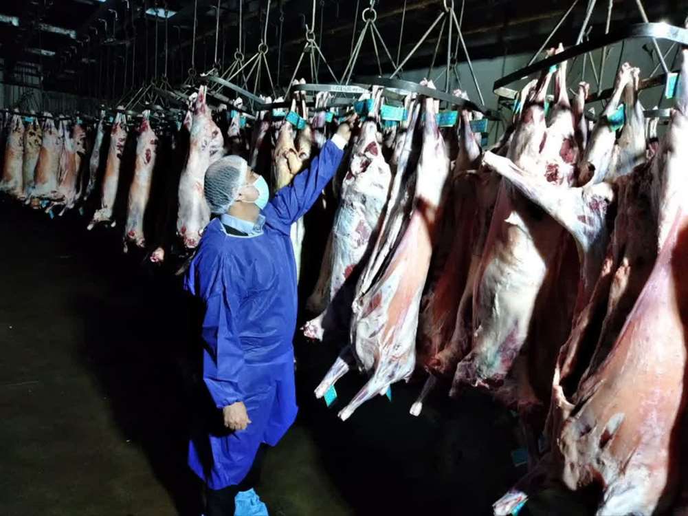 خراسان رضوی؛ پیشتاز تولید گوشت قرمز در کشور خراسان رضوی؛ پیشتاز تولید گوشت قرمز در کشور