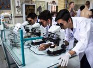 پژوهشگران مشهدی موفق به تولید پودر استخوانی پیشرفته برای کاربردهای پزشکی شدند پژوهشگران مشهدی موفق به تولید پودر استخوانی پیشرفته برای کاربردهای پزشکی شدند