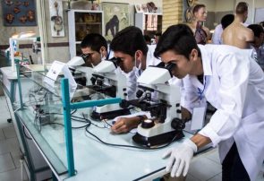 پژوهشگران مشهدی موفق به تولید پودر استخوانی پیشرفته برای کاربردهای پزشکی شدند