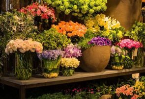 بازدید رایگان از نمایشگاه گل و گیاه و باغبانی مشهد