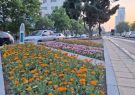 آغاز کاشت ۳ میلیون بوته گل بهاره-تابستانه/ اجرای ۱۶ پروژه منظرسازی و کاشت گیاهان مقاوم در سطح شهر