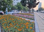 آغاز کاشت ۳ میلیون بوته گل بهاره-تابستانه/ اجرای ۱۶ پروژه منظرسازی و کاشت گیاهان مقاوم در سطح شهر آغاز کاشت ۳ میلیون بوته گل بهاره-تابستانه/ اجرای ۱۶ پروژه منظرسازی و کاشت گیاهان مقاوم در سطح شهر