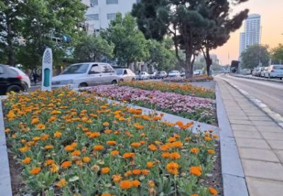 آغاز کاشت ۳ میلیون بوته گل بهاره-تابستانه/ اجرای ۱۶ پروژه منظرسازی و کاشت گیاهان مقاوم در سطح شهر