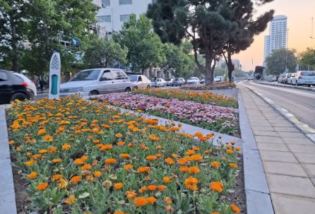 آغاز کاشت ۳ میلیون بوته گل بهاره-تابستانه/ اجرای ۱۶ پروژه منظرسازی و کاشت گیاهان مقاوم در سطح شهر آغاز کاشت ۳ میلیون بوته گل بهاره-تابستانه/ اجرای ۱۶ پروژه منظرسازی و کاشت گیاهان مقاوم در سطح شهر