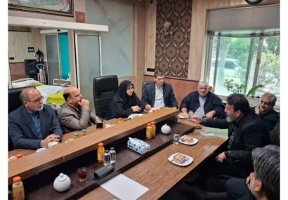 بررسی برنامهها و مطالبات جانبازان قطع نخاع