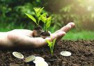 تقویت روحیه شکرگزاری، یکی از فواید صدقه دادن