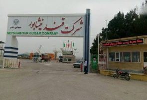 آغاز بهره برداری از کارخانه قند در شهر فیروزه نیشابور