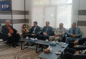 تایباد، رتبه نخست خرید تضمینی گندم در خراسان رضوی تایباد، رتبه نخست خرید تضمینی گندم در خراسان رضوی