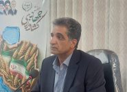 بردسکن؛ قطب تولید انجیر در خراسان رضوی