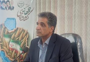 بردسکن؛ قطب تولید انجیر در خراسان رضوی