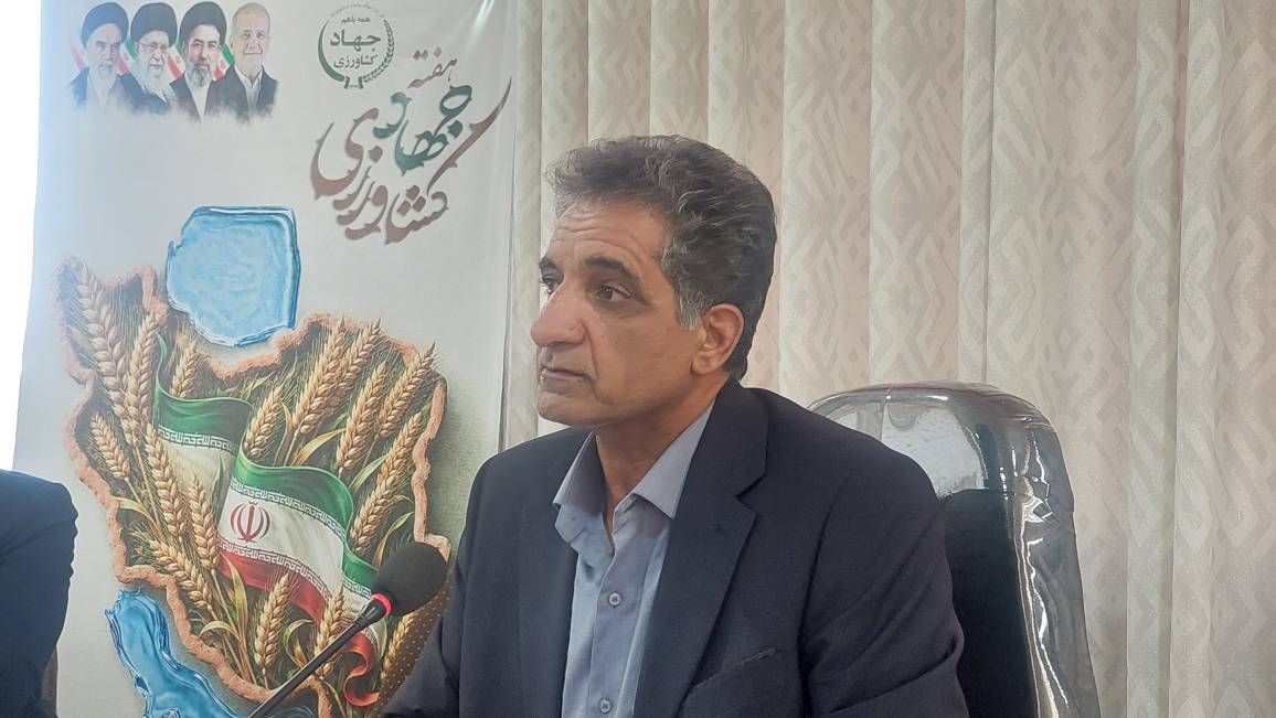بردسکن؛ قطب تولید انجیر در خراسان رضوی بردسکن؛ قطب تولید انجیر در خراسان رضوی