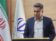 ظرفیت گلخانهای کاشمر به ۷ هکتار رسید ظرفیت گلخانهای کاشمر به ۷ هکتار رسید