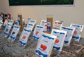 رونمایی از ۶ بذر جدید در مجموعه کشت و صنعت جوین سبزوار