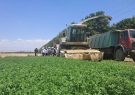جوین یکی از قطبهای آزمایشی برای توسعهی ترویج دانش و فناوری در بخش کشاورزی جوین یکی از قطبهای آزمایشی برای توسعهی ترویج دانش و فناوری در بخش کشاورزی