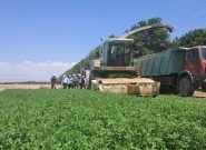 جوین یکی از قطبهای آزمایشی برای توسعهی ترویج دانش و فناوری در بخش کشاورزی جوین یکی از قطبهای آزمایشی برای توسعهی ترویج دانش و فناوری در بخش کشاورزی