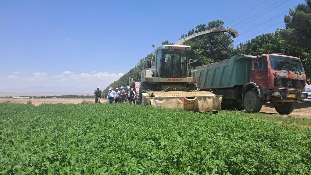 جوین یکی از قطبهای آزمایشی برای توسعهی ترویج دانش و فناوری در بخش کشاورزی جوین یکی از قطبهای آزمایشی برای توسعهی ترویج دانش و فناوری در بخش کشاورزی