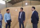 خرید تضمینی ۱۵۰۰ تن گندم در بردسکن