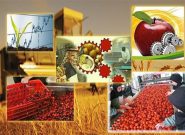 جهش صنایع تبدیلی کشاورزی خراسان رضوی جهش صنایع تبدیلی کشاورزی خراسان رضوی