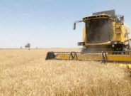 مکانیزاسیون کشاورزی در خراسان رضوی شاهدافزایش ۲ برابری است مکانیزاسیون کشاورزی در خراسان رضوی شاهدافزایش ۲ برابری است