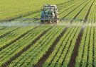 اجرای ۲ هزار مزرعه الگویی در استانهای مستعد کشور