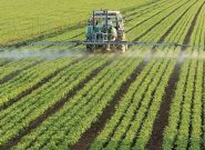 اجرای ۲ هزار مزرعه الگویی در استانهای مستعد کشور اجرای ۲ هزار مزرعه الگویی در استانهای مستعد کشور