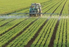 اجرای ۲ هزار مزرعه الگویی در استانهای مستعد کشور
