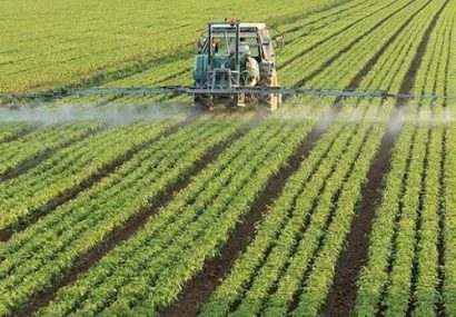 اجرای ۲ هزار مزرعه الگویی در استانهای مستعد کشور