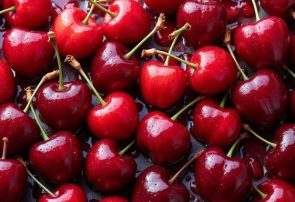 آغاز برداشت محصولات باغی در استان خراسان رضوی