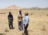 اقدام خودجوش چوپان بردسکنی در بذرپاشی مراتع اقدام خودجوش چوپان بردسکنی در بذرپاشی مراتع