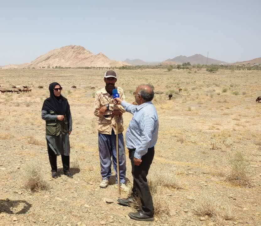 اقدام خودجوش چوپان بردسکنی در بذرپاشی مراتع اقدام خودجوش چوپان بردسکنی در بذرپاشی مراتع