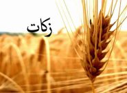 پرداخت ۳۶ میلیون تومان زکات واجب در فریمان توسط یک مودی به کمیته امداد پرداخت ۳۶ میلیون تومان زکات واجب در فریمان توسط یک مودی به کمیته امداد