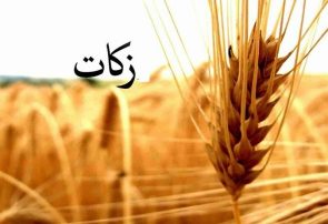 پرداخت ۳۶ میلیون تومان زکات واجب در فریمان توسط یک مودی به کمیته امداد