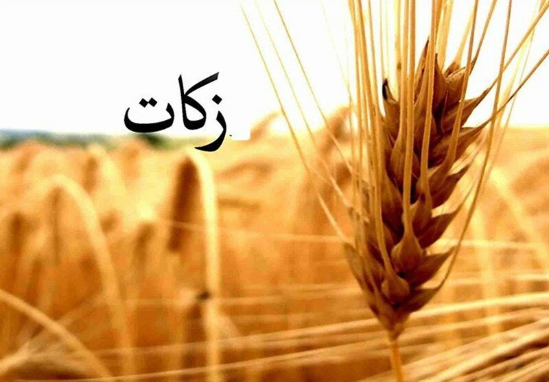 پرداخت ۳۶ میلیون تومان زکات واجب در فریمان توسط یک مودی به کمیته امداد پرداخت ۳۶ میلیون تومان زکات واجب در فریمان توسط یک مودی به کمیته امداد