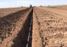 اجرای طرح آبیاری زیرسطحی در هزار هکتار از اراضی بردسکن