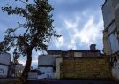 رونمایی از طرح تفصیلی محله آبکوه مشهد با مشارکت بیسابقه مردم