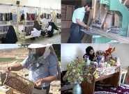 رسیدن خالص اشتغال خراسان رضوی در بهار امسال به مثبت ۵۰ هزار نفر