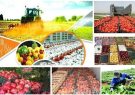 افزایش ۳۱ درصدی ارزش اقتصادی تولیدات کشاورزی خراسان رضوی