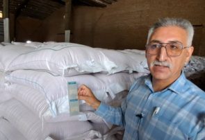 رونمایی از روند تولید و نصب بارکد بذر در مجموع کشت و صنعت جوین