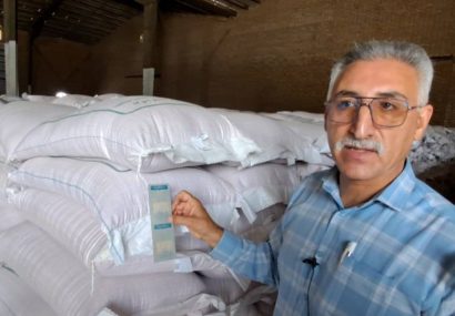 رونمایی از روند تولید و نصب بارکد بذر در مجموع کشت و صنعت جوین
